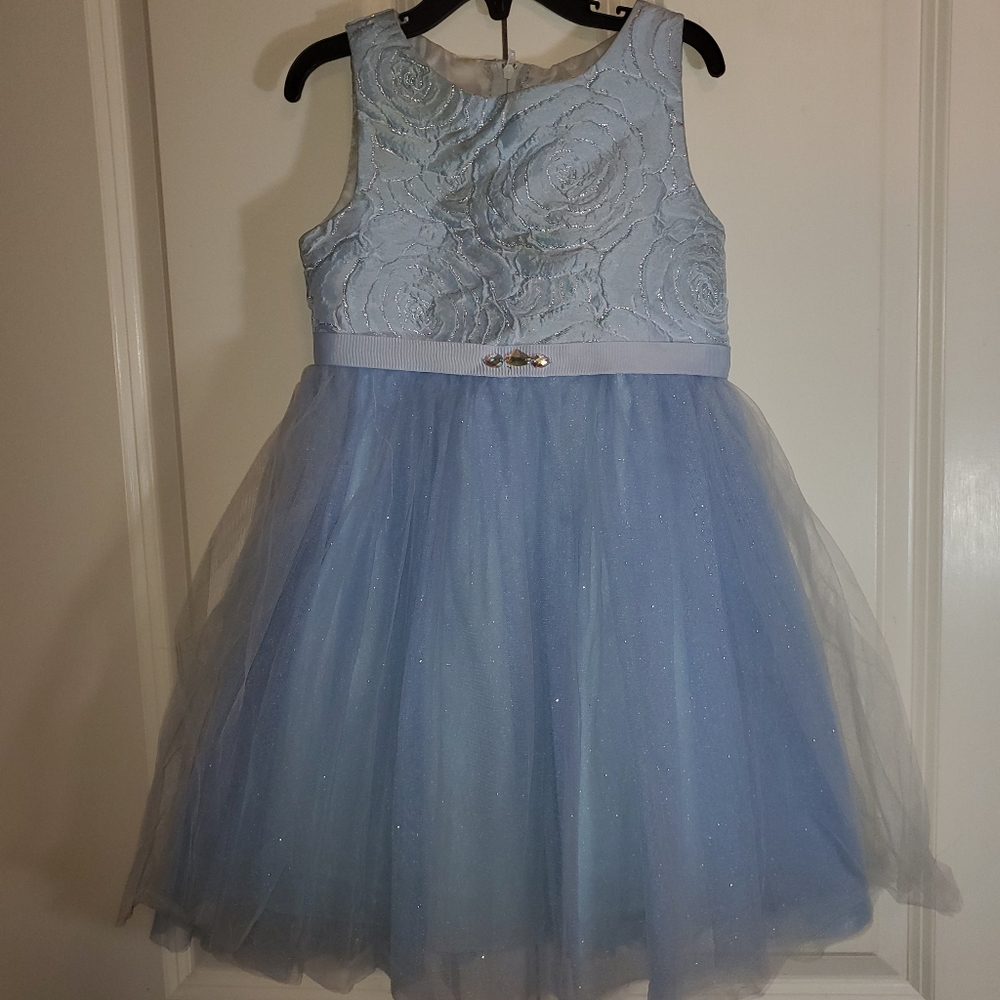 Rose Embroidery Dress